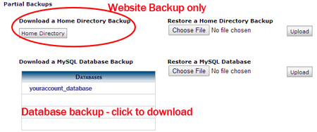 Partial and Database backups