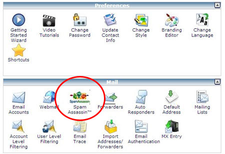 cPanel